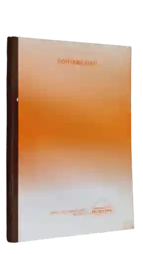 Libro De Contabilidad 100 Folios 3 Columnas