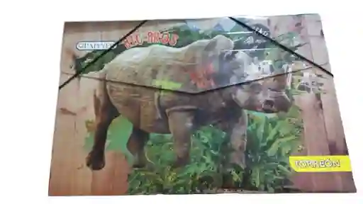Carpeta Escolar De Carton Fuelle