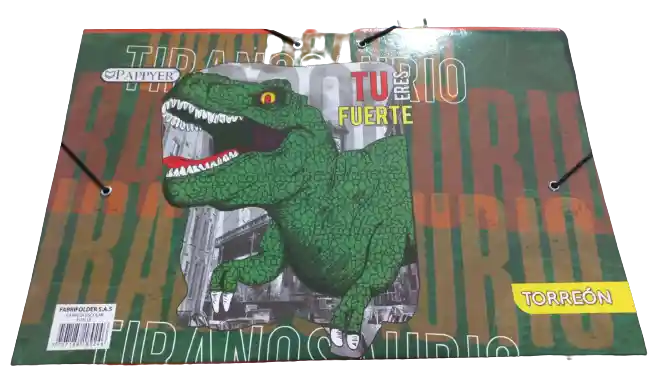 Carpeta Escolar Carton Fuelle