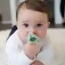 Chupos De Entretencion Dr Browns Silicona Happypaci 0-6m Verde