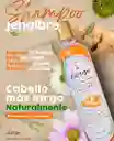 Shampoo Jengibre