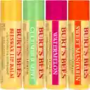 Hidratante De Labios Burts Bees - Lip Balm Pack X4