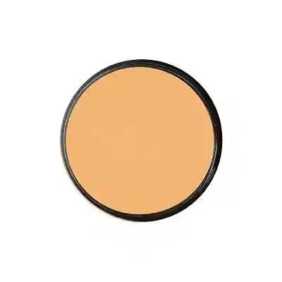 Polvo Facial Minerales Con Fs N°3 Piel 19g - Raquel