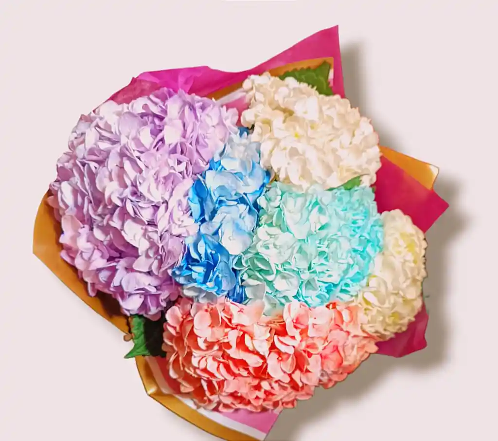 Hortensias X 6 Colores En Bouquet