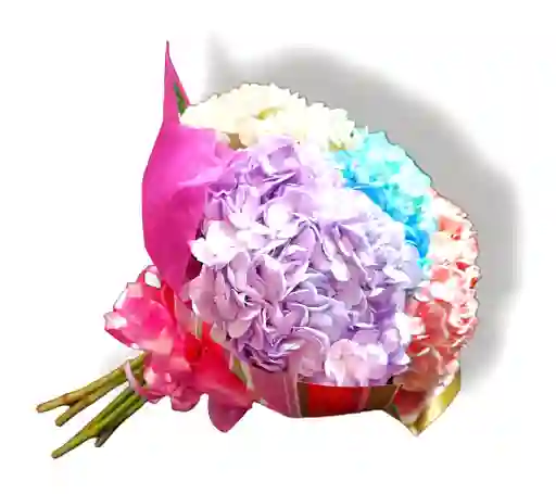 Hortensias X 6 Colores En Bouquet