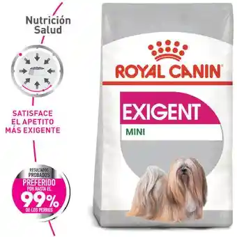 Royal Canin Mini Exigent