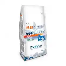 Vet Solution Felino Renal