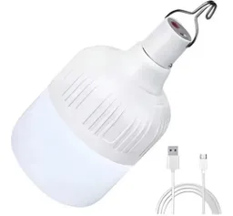 Bombillo Luz Led Recargable Portátil Usb 30w