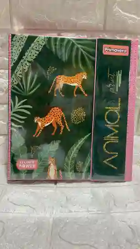 Trapper Primavera Dama