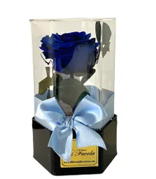 Regalo Para Hombre Dia Del Amor Y La Amistad Rosa Preservada En Caja Acrílica Hexagonal Color Azul.