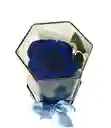 Regalo Para Hombre Dia Del Amor Y La Amistad Rosa Preservada En Caja Acrílica Hexagonal Color Azul.