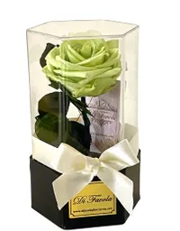 Rosa Preservada En Caja Acrílica Hexagonal Color Verde Menta. Día Del Hombre. Elegante