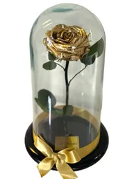 Rosa Preservada Dorada En Cúpula Tamaño Grande; 30 Cm;