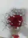 Rosa Enamorada