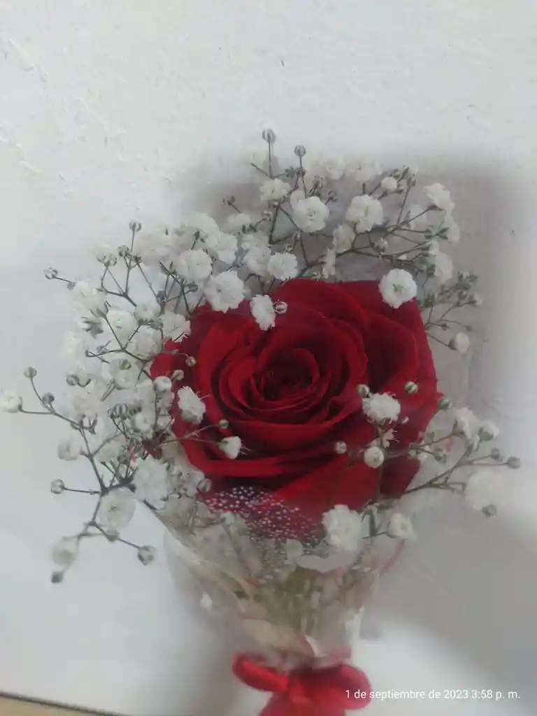 Rosa Enamorada