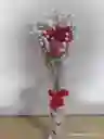 Rosa Enamorada