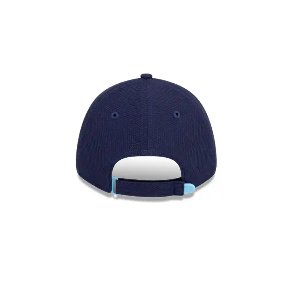 Gorra New York Yankees 9forty Morado/azul