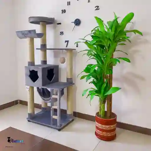Gimnasios Para Gatos Con Cuna