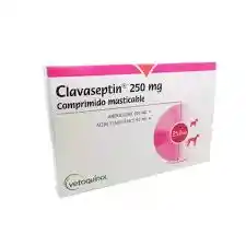Clavaseptin 250mg Blister X 10tabletas
