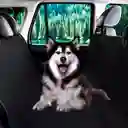 Forro Protector Para Asiento Silla De Carro Vehículo Para Mascotas Perros