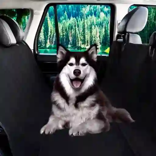 Forro Protector Para Asiento Silla De Carro Vehículo Para Mascotas Perros