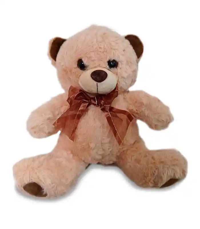 Oso De Peluche De 24 Cm