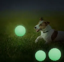 Pelota Para Mascota Brilla Oscuridad