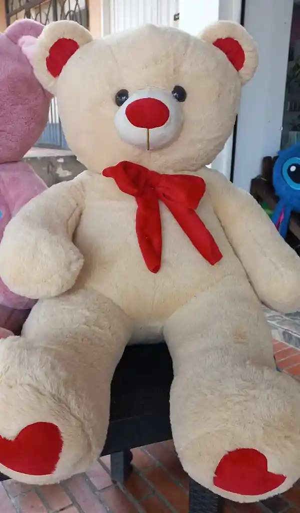 Oso De Peluche