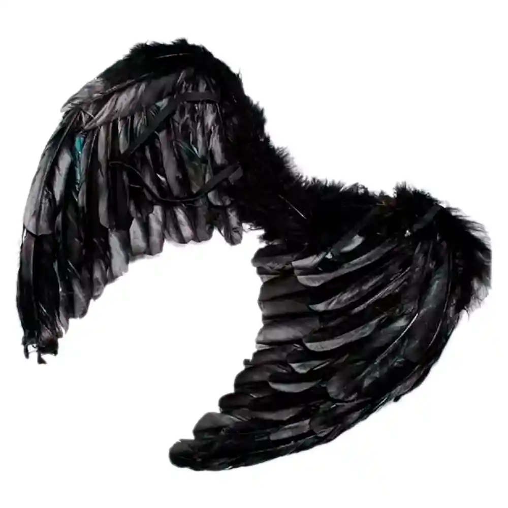 Disfraz Alas Ángel Plumas Mp295 55x40cm Halloween Negro Pequeño