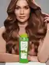 Shampoo Con Áloe Vera Para Cabello Graso Anyeluz