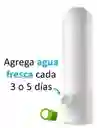 Contenedor Conservador Organizador De Hiervas Y Vegetales Para Nevera