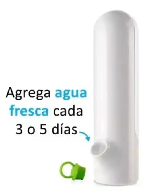 Contenedor Conservador Organizador De Hiervas Y Vegetales Para Nevera