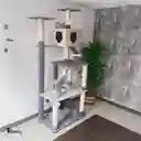 Gimnasio Torre Árbol Para Gatos Ref Aurora