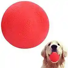 Pelota Maciza Anti Estrés Para Mascota Talla L.