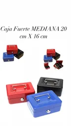 Caja Fuerte Metálica Seguridad Monedero + Llaves Mediana 20cm X 16 Cm