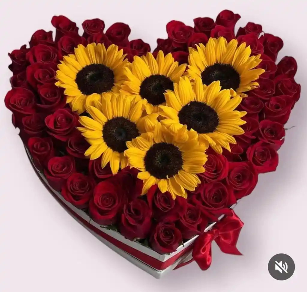 Corazon # 1