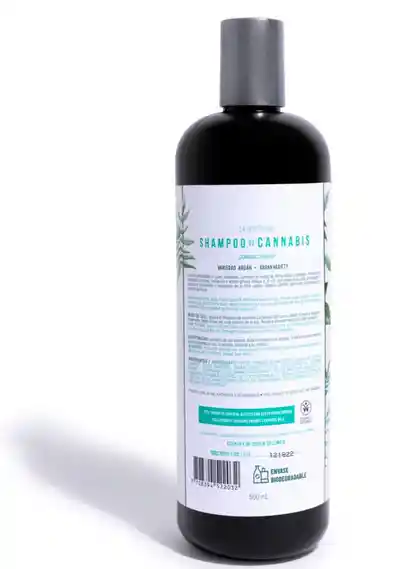 Shampoo De Argán Para Cabello Seco La Receta 500 Ml