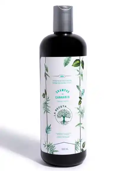 Shampoo De Argán Para Cabello Seco La Receta 500 Ml