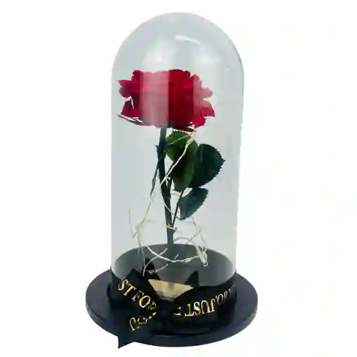 Rosa Roja Preservada Con Luz