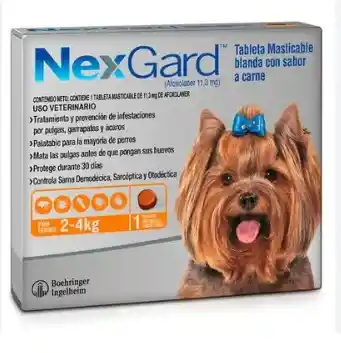 Nexgard 2-4kg