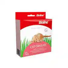 Kit De Pasto Para Gato