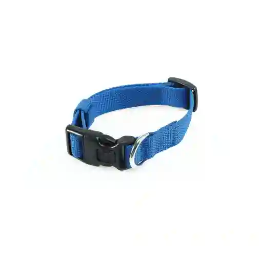 Collar Para Perro M-pets Jolly Eco Azul Talla S