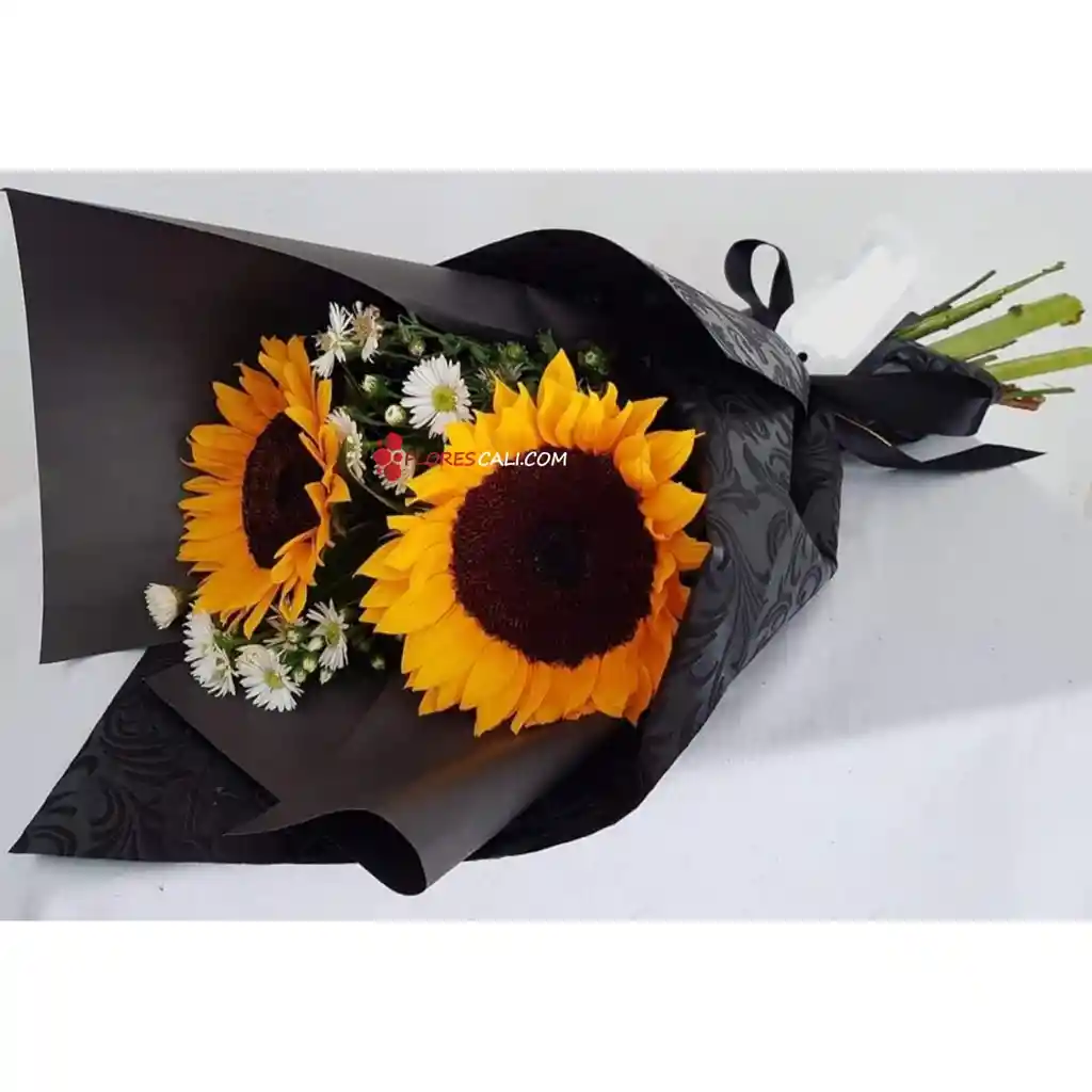 Bouquet De 2 Girasoles