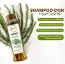 Anyeluz Shampoo Con Romero