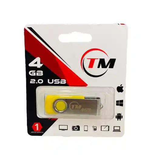 Memoria Usb Tm 4gb