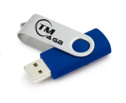 Memoria Usb Tm 4gb