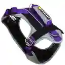 Arnés Para Perro Felcan Aventurero Gris Claro Y Morado Talla Xl