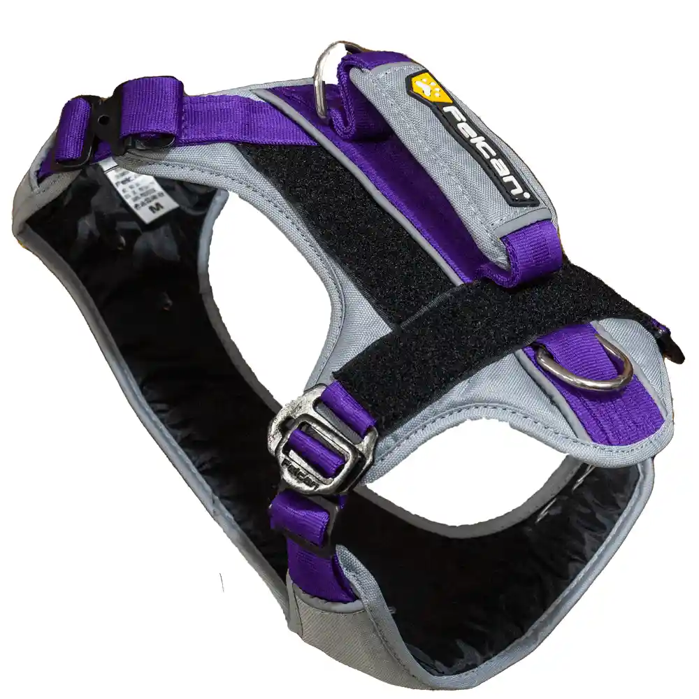 Arnés Para Perro Felcan Aventurero Gris Claro Y Morado Talla Xl