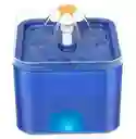 Fuente De Agua Para Gatos Y Perros De 2l Con Luz Led Color Azul