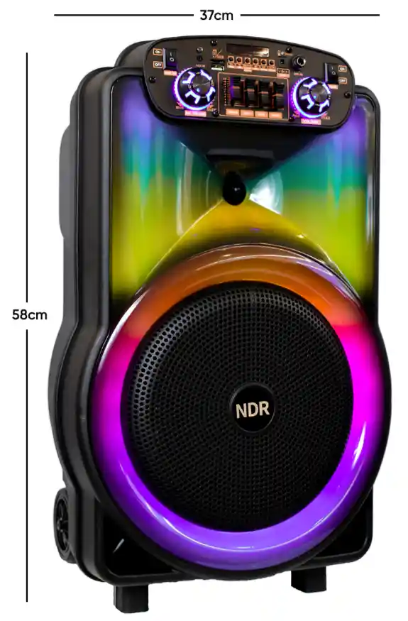 Ndr-y12 Cabina 12'' Woofer Negro